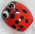 Animal Beads - Glass Beads - Glass Lady Bug Beads