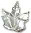 Gold or Silver Maple Leaves - Maple Leaf