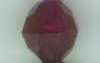 Tri Beads - DK AMETHYST TR - Plastic Tri Beads - Propeller Beads - Tri Beads