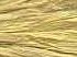 Raffia Ribbon - Gold