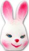 Bunny Head on Pic - Small Bunny Head