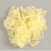 Curly Doll Hair - Lemon Ash Blonde - - Doll Hair