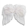 Feather Angel Wings - White - Angel Parts - Angels Wings - Wings for Angels