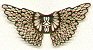 Filigree Wing-gold