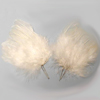Miniature Angel Wings - Angel Wings - Feather