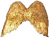 Golden Feather Angel Wings - Gold -  - Angel Wings