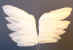 White Feather Angel and Fairy Wings