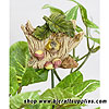 Miniature Birdhouse Stake - Mini Birdhouse Stakes - Floral Decorations - Wreath Decorations