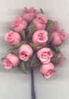 Rosebuds
