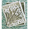 Pear Head Corsage Pins - WHITE PEARL - Corsage Pins -