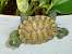 Flower Pot Decorations - Turtle Flower Pot Hangers