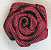 Ribbon Roses