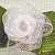 White Sheer Ribbon Rose