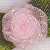Pink Sheer Ribbon Rose