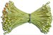 Double Headed Floral Stamen - Flower Stamen - Stamens - Floral Greenery