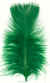 Plumage Feathers
