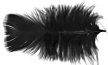 All Purpose Black  Feathers