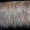 Luxury Fur Trim - TAN&nbsp;/&nbsp;WHITE -  - Craft Fur