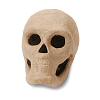 3-D Paper Mache Skull - Craft Basics - 