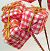 "Present" Pics - - - Christmas Home Decor