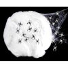 Spider Web with 20 Spiders - Home Decor