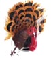Feathered Turkeys - Fall Decorations - Turkey Decorations - Miniature Turkeys