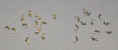 Bead Tip Fold Overs