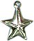 Star Western Bracelet Charms - SILVER - 0 -