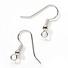 Fish Hook Earrings - Nickel Free - Bright Silver - fish hook earrings