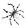 Christmas Spider Ornament Kit - Crystal / White / Black - Christmas Spider Ornament Kit - Christmas Spider to Make - 