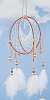 Dreamweaver Dream Catcher