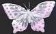 Painted Feather Butterfly - Iridescent - Iridescent Butterflies - Craft Butterflies
