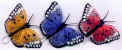 Painted Feather Butterfly - Green - Feathered Butterflies - Monark Craft Butterflies - Craft Butterflies