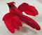 Feathered Cardinal