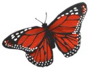Feather Butterflies - Craft Monarch Butterflies