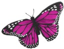 Feather Butterflies - Craft Monarch Butterflies