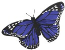 Feather Butterflies - Craft Monarch Butterflies