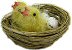 Baby Birds in Nest with Eggs