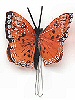 Painted Feather Butterfly - Orange - Feathered Butterflies - Monark Craft Butterflies - Craft Butterflies