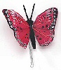 Painted Feather Butterfly - Red - Feathered Butterflies - Monark Craft Butterflies - Craft Butterflies