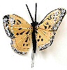 Painted Feather Butterfly - Yellow - Feathered Butterflies - Monark Craft Butterflies - Craft Butterflies