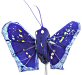 Painted Feather Butterfly - Fuschia Wings - Miniature Painted Feather Butterflies - Craft Butterflies