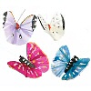 Painted Feather Butterflies - Assorted Bright Colors - Painted Feather Butterflies - Craft Butterflies