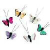 Painted Feather Butterflies - Assorted Colors - Painted Feather Butterflies - Craft Butterflies