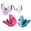 Painted Feather Butterflies - Assorted Bright Colors - Painted Feather Butterflies - 