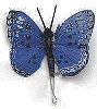Painted Feather Butterfly - Blue - Feathered Butterflies - Monark Craft Butterflies - 