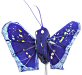 Painted Feather Butterfly - Royal Blue Wings - Miniature Painted Feather Butterflies - 