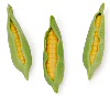 Dough Corn -  -  - Artificial Food