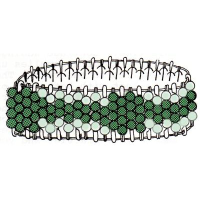 Instructions for Safety Pin Bracelet with 4mm Acrylic Beads - Free Safety Pin Jewelry Instructions