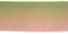 Gradient Wired Ribbon - Green / Pink - 